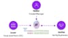 Crafting a Seamless Future with Globally Interoperable Digital Identity