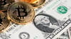 MoneyGram, Stellar Integrate Wyre With Crypto-to-Cash Conversion Service