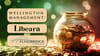 Stan Charts Libeara tokenizes Wellington US Treasury fund in Singapore