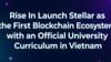 Stellar Becomes First Blockchain with an Official University Curriculum