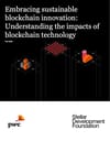 Environmental Sustainability of Blockchain Report