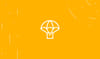 Bringing Lumens to Millions