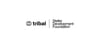 Stellar Development Foundation invests $3 million in Tribal Credit