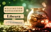 Stan Charts Libeara tokenizes Wellington US Treasury fund in Singapore