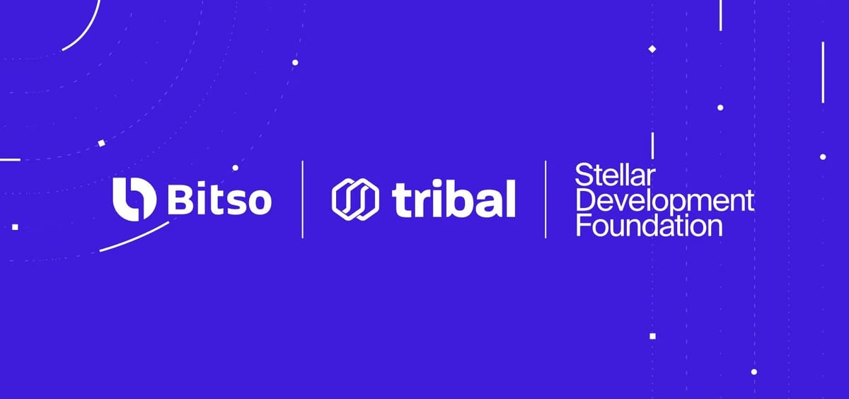 Tribal Credit, Bitso, Stellar Development Foundation partner to enable ...